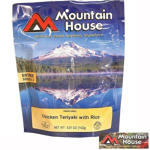 **Chicken Teriyaki Freeze Dried Meal - 2 Serving Pack - Mountain House